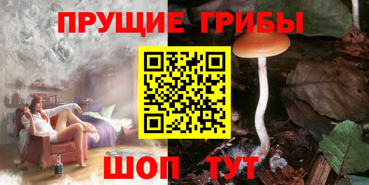 Псилоцибиновые грибы GOLDEN TEACHER  наркошоп  Брянск  Вход с VPN 
